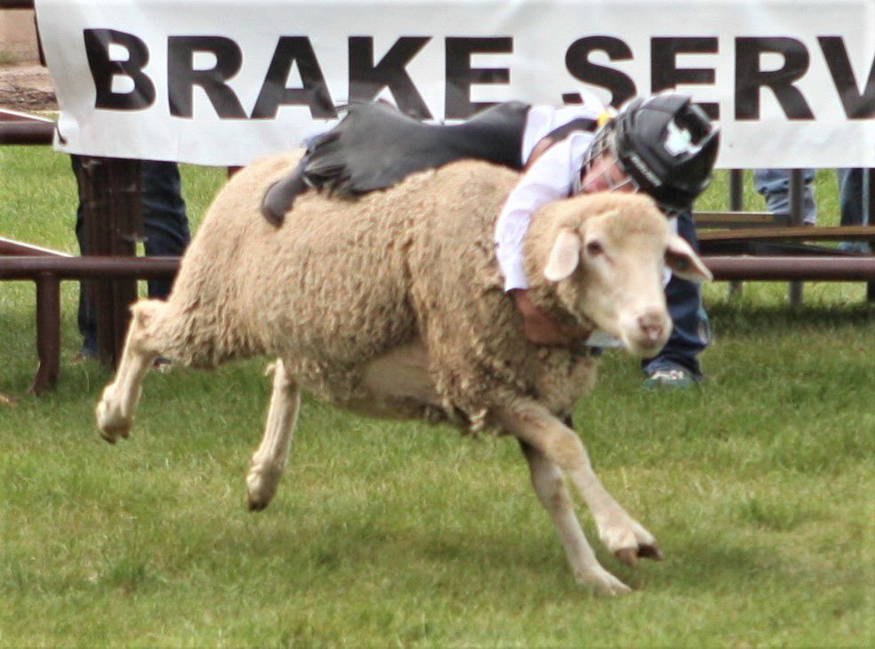 MB Kolt Howie holding on.jpg